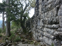 DSC07618
