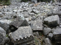DSC07631