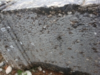 DSC07635