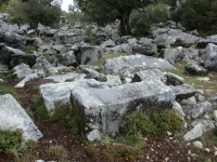 DSC07639