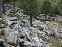 DSC07645
