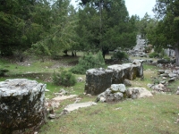 DSC07647