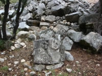 DSC07648