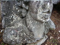 DSC07649