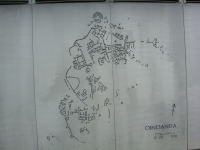 DSC07654