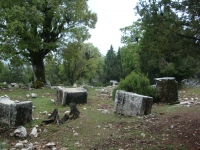 DSC07656