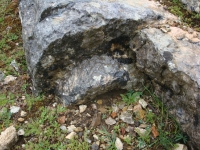 DSC07665