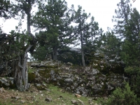 DSC07670