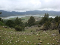 DSC07674
