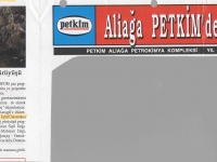 SPIL91042117