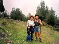 SPIL9504161