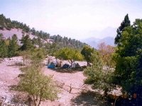 TAH95100716