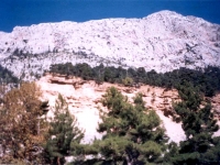 TAH95100718