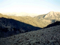 TAH95100822