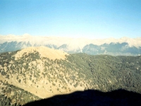 TAH95100823