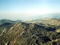 TAH95100824