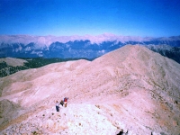 TAH95100826