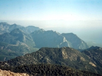TAH95100827