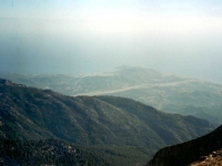 TAH95100828