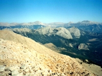 TAH95100829