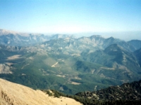 TAH95100830