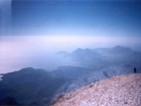 TAH95100831