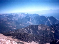 TAH95100832