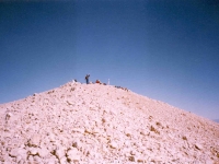 TAH95100833