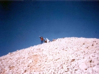 TAH95100834