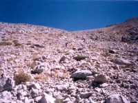 TAH95100838