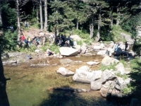 ULU9871311SOFTABOGAN