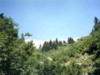 ULU9871628