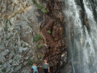 ULU9871634ARAZSELALESI