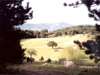 ULU99052111SOGUKPINARYAYLA