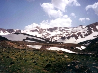 ULU99052237