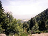 ULU99052348