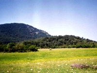 YA945153