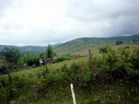 DSC04371