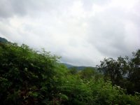 DSC04372