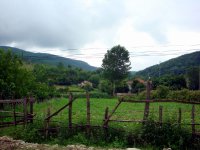 DSC04384