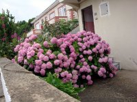 DSC04396
