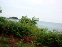 DSC04429