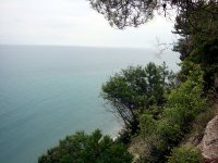 DSC04440