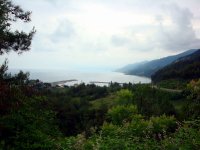 DSC04443