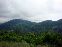 DSC04448