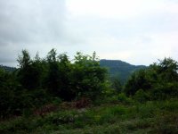 DSC04449