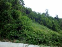 DSC04453