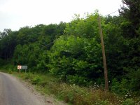 DSC04461