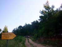 DSC06220