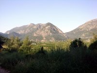 DSC06222
